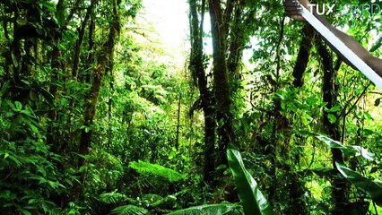 Les Experts se lancent dans le Dubsmash