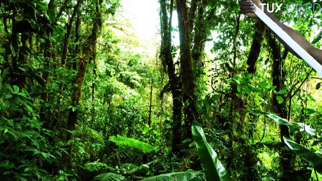 Les Experts se lancent dans le Dubsmash