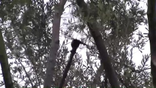 Prim Desteğiyle Gelen Kalp ve Damar Sağlığı