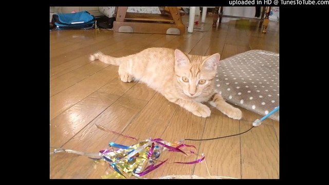 レット・イット・ゴー～ありのままで～/アナと雪の女王/Let It Go/Frozen/ピアノ 高橋丈太郎