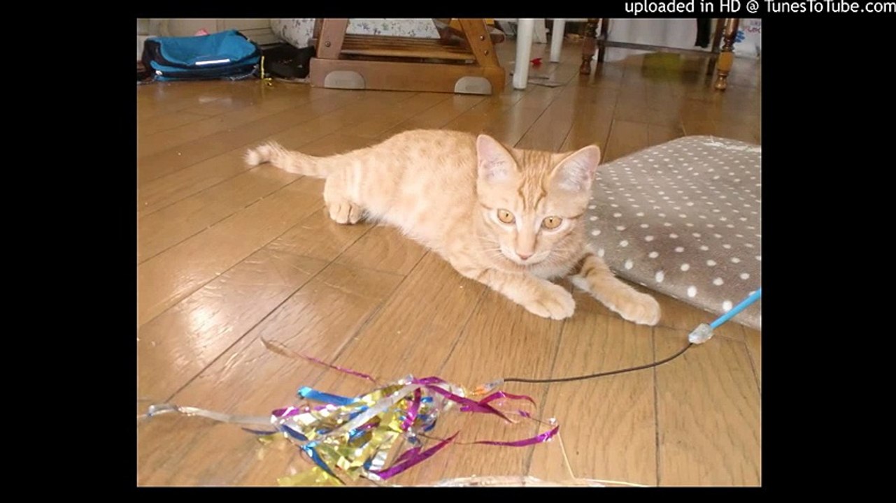 レット・イット・ゴー～ありのままで～/アナと雪の女王/Let It Go/Frozen/ピアノ 高橋丈太郎