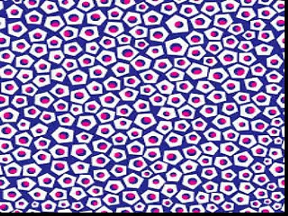 EVERGREEN BLUESHOES - MAYBE SOMEDAY