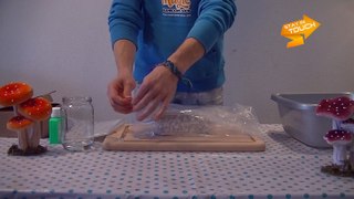 Magic Mushroom Grow kit video instructions: MycoMate Grow kit, Standard and XL size.