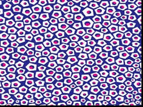 MAHARAJAS - MEDICATION