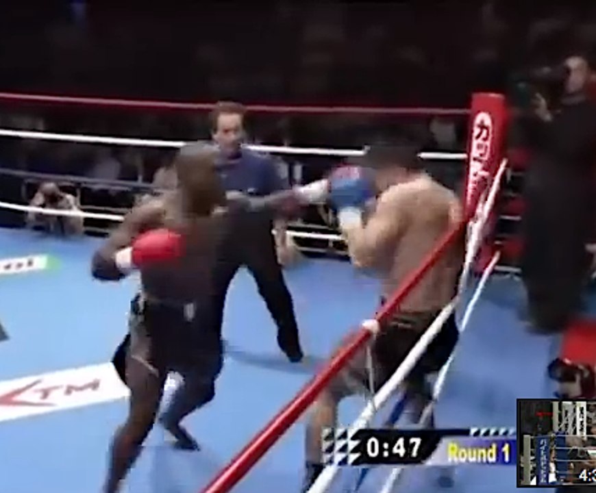 Melvin Manhoef : Boss of freefight compilation 2011