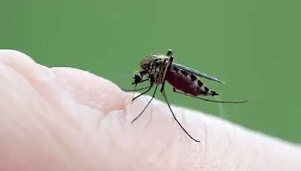 Votre pire ennemi immortalisé en vidéo !