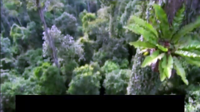 Svi smo jedno - Inspirativni film