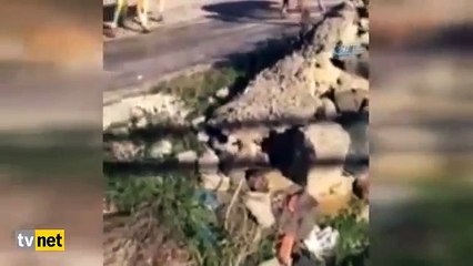 İneklerin buzlu yolla imtihanı!