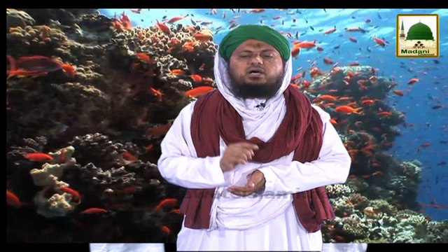 Madani Guldasta Khuabon Ki Tabeer(26) - Khuab Main Machli Dekhnay Ki Tabeer