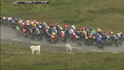 CYCLISME - Arctic Race - La première pour Nordhaug