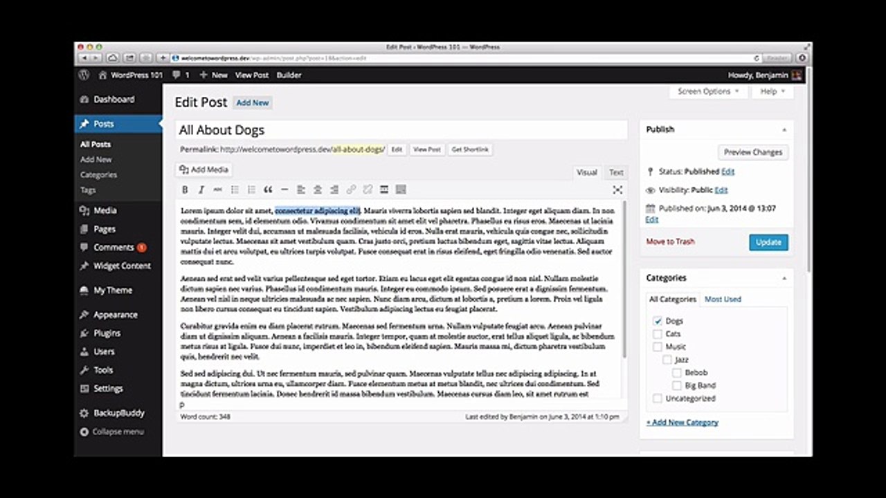 Adding Links in WordPress - How to Add Links in Post and Pages Wordpress Tutorials by WpMags