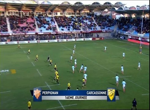 16ème journée de Pro D2 : USAP vs Carcassonne