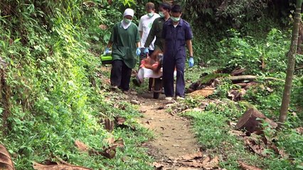 Orangutan mother of twins returns to Indonesian jungle