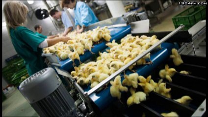 Charly Hbdo schon vor Hundert jahren geplant