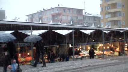 Aç Kalan Martıları Balıkçılar Besledi