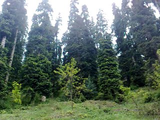 Sudhan Gali , Chikhaar , Ganda chotti , Beauty of Kashmir