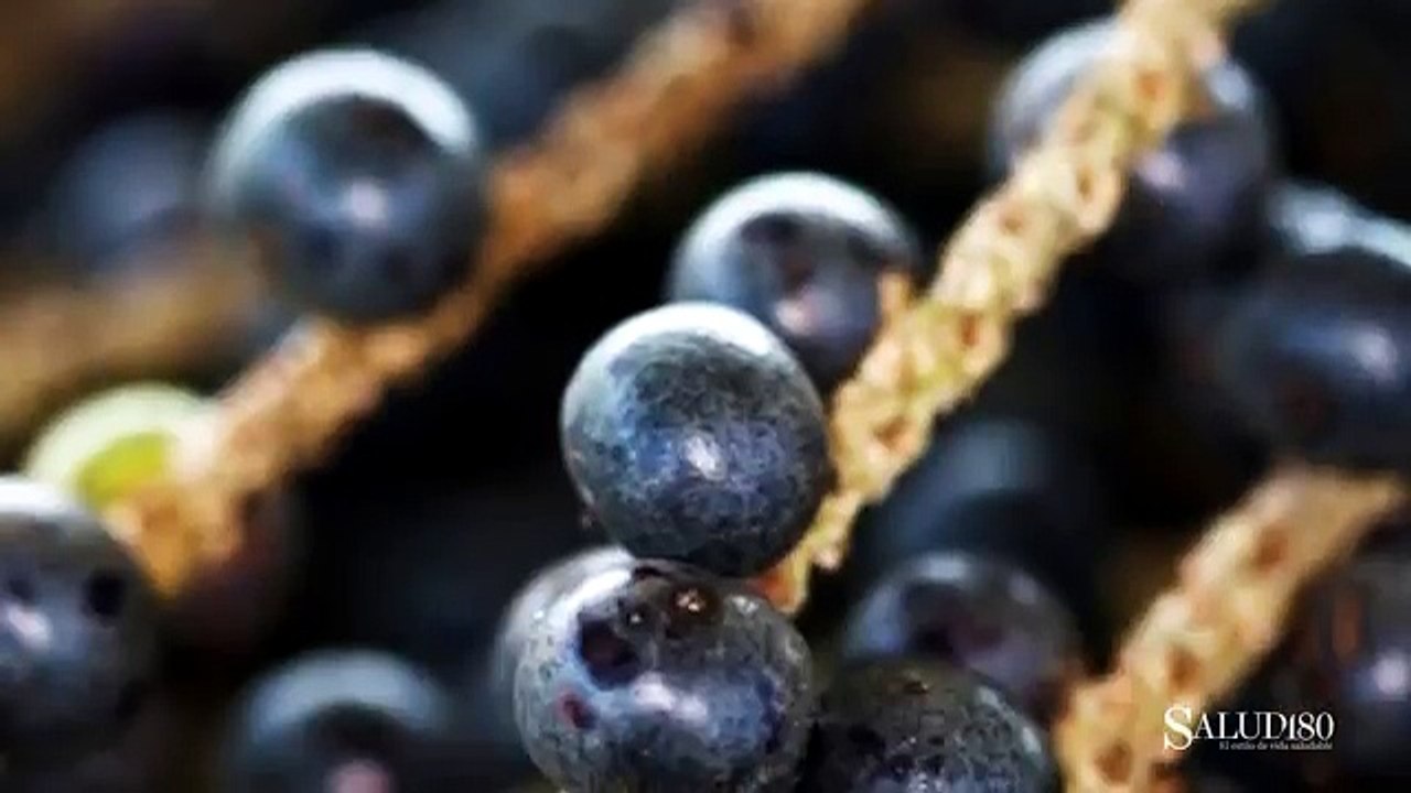 QUEMA GRASA con la fruta de Acai