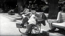 Tete de pioche  2  laurel et hardy