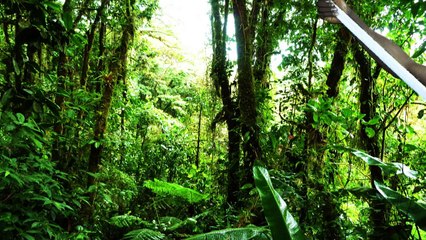 Clip des Experts (préparation au Mondial 2015 au Qatar)