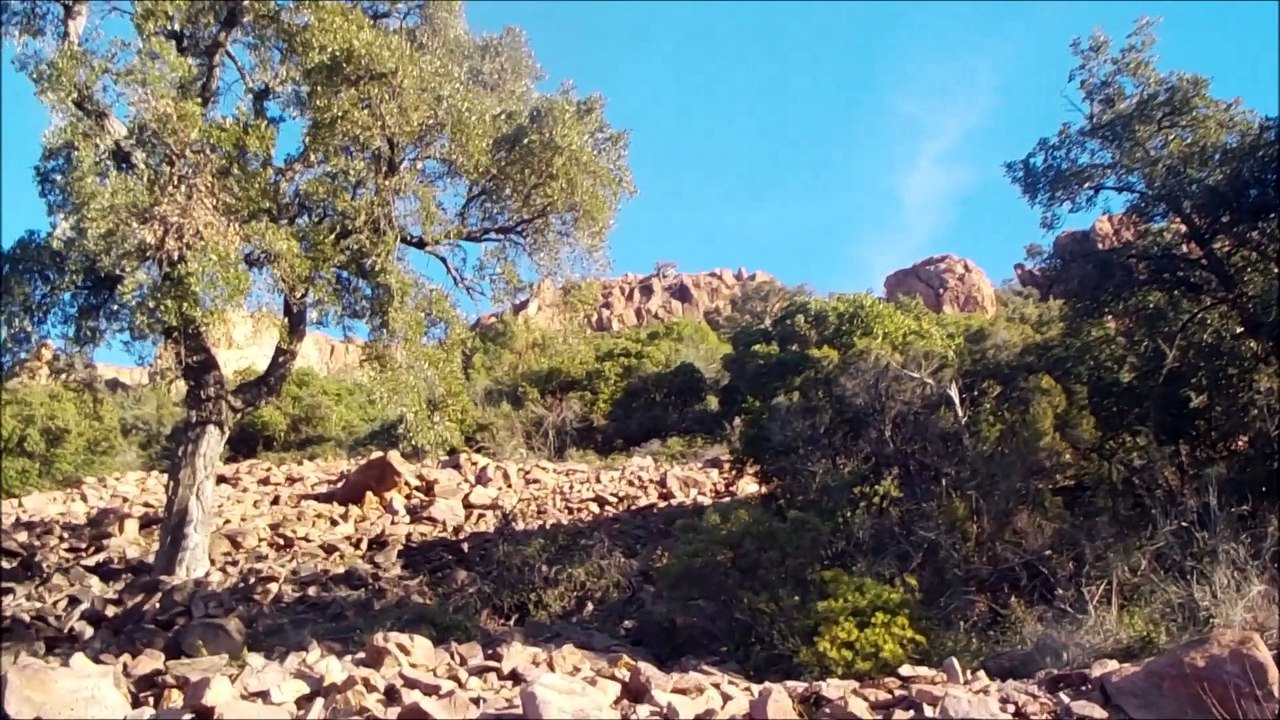 la barre de roussiveau