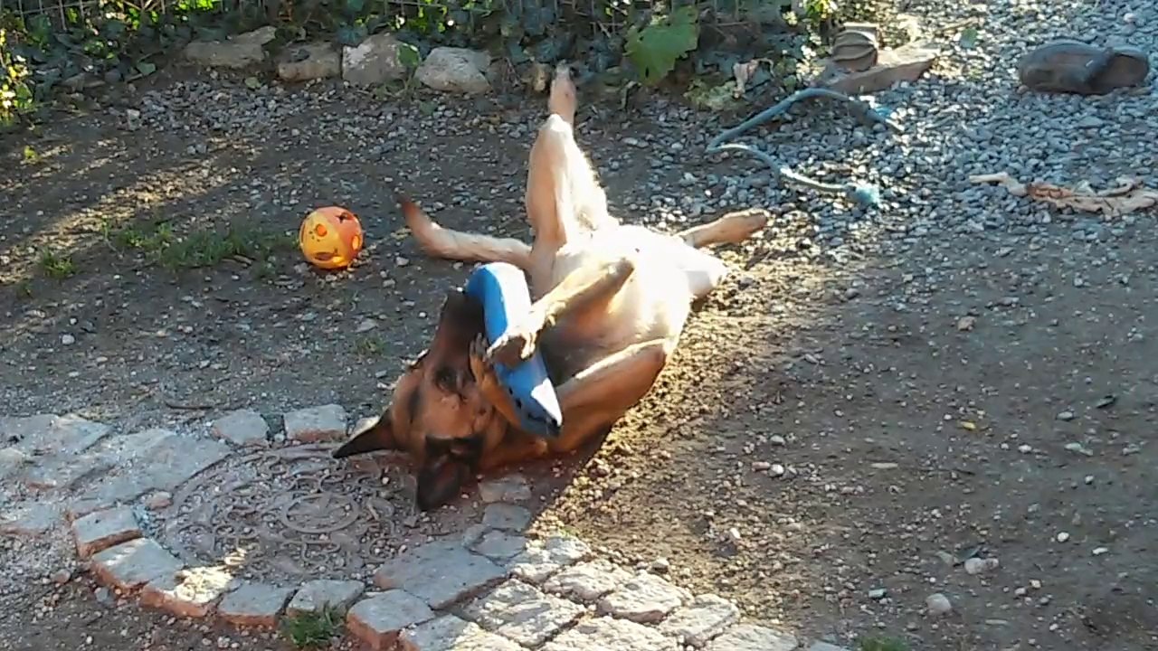 Mecberger Gilda @ 24.12.2014