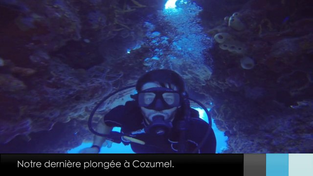 Le Zapp' d'Adé & Jean: Plongée à Cozumel.