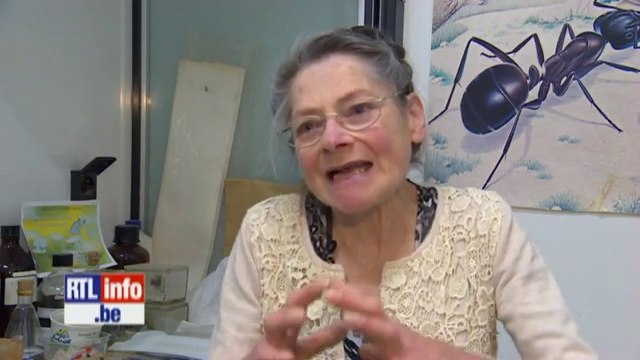 Expérience des ondes GSM sur les fourmis