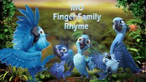 Finger Family Nursery Rhymes For Kids | Rio vs Angri Birds Cartoon Children Nursery Rhymes