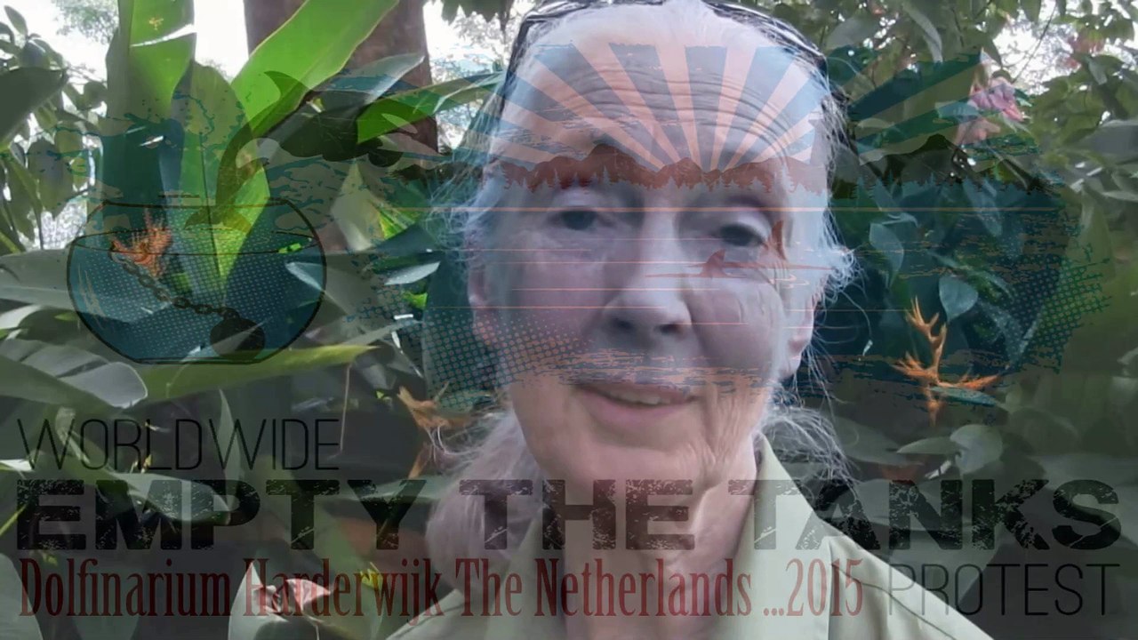 Empty the Tanks 2015 - Dolfinarium Harderwijk The Netherlands