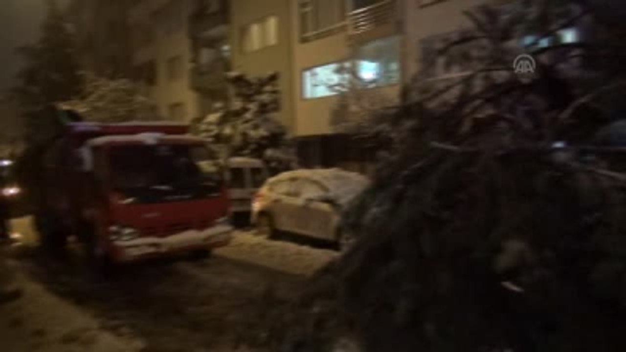 Kar Ağaçları Devirdi