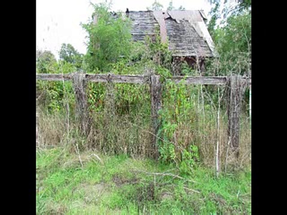OUT BEHIND THE BARN