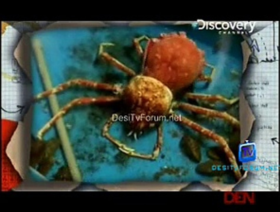 Discovery Channel Program You Have Been Warned 12 January 2015 Online Video dangerous for trial at home