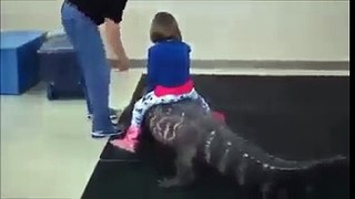 A baby sitting over an alligator