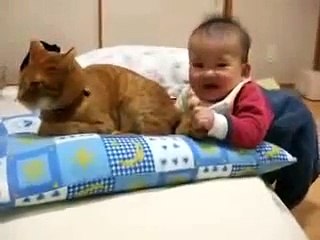 funny video new 2013 clips 3 Baby bites cat’s tail _