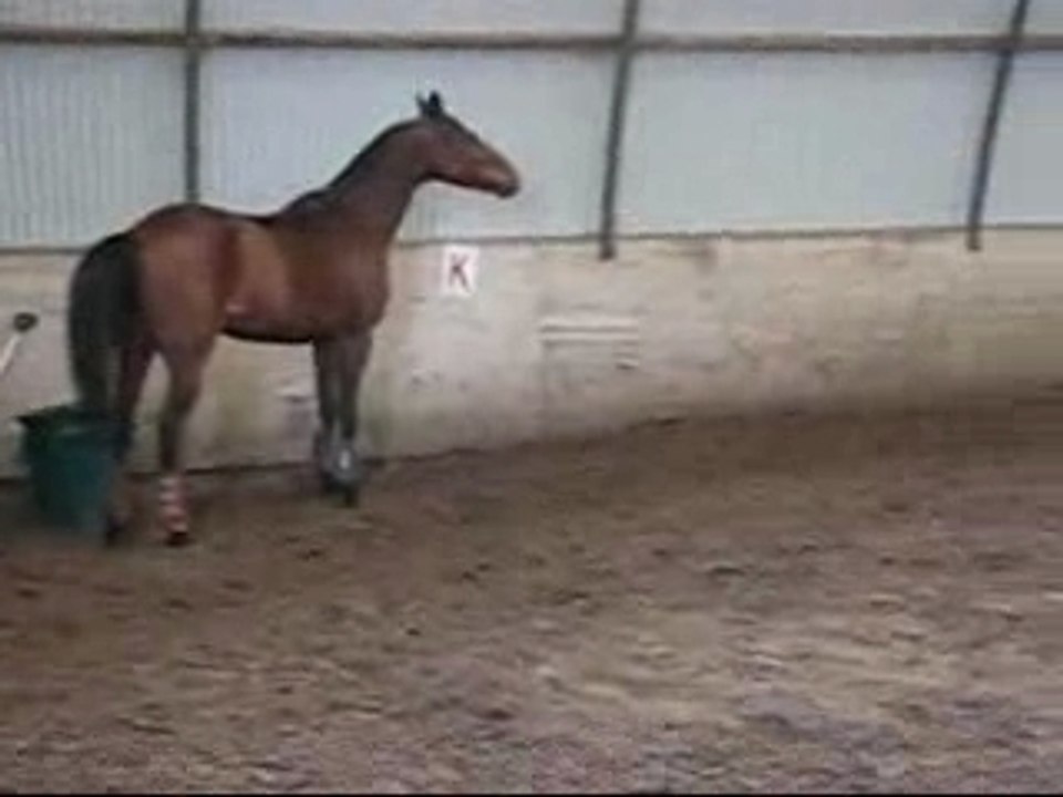 Izaora la defoule