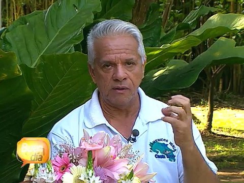 Primeros auxilios: ¡Cuidado con las espinas de pescado!