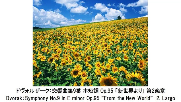 よく知っているクラシック名曲集100・Well-Known Classical Music Masterpieces 100（長時間作業用BGM)