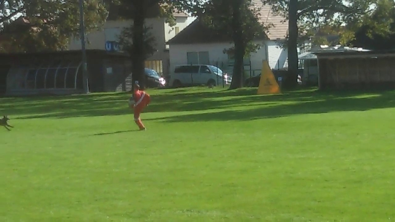 Baier Doris & Abbigale the Belgian Surprise @ 1.FCI-WM Quali 2015 Schutzdienst / Protectionwork