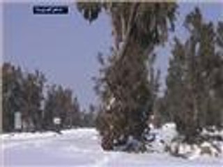 المطالبة بفتح طرق المخيمات المحاصرة بالثلوج