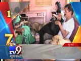 Animal lover who nurtures 45 dogs selling wife's 'Mangalsutra', Mumbai - Tv9 Gujarati