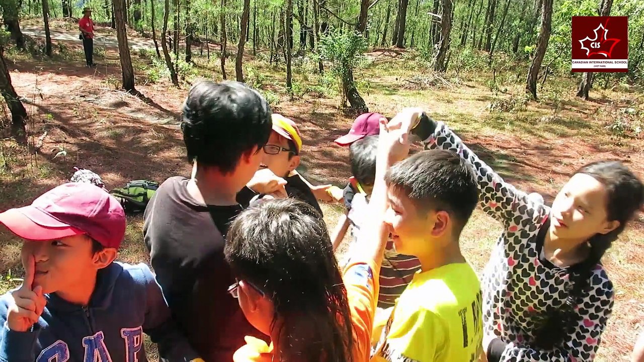 Teambuilding CIS