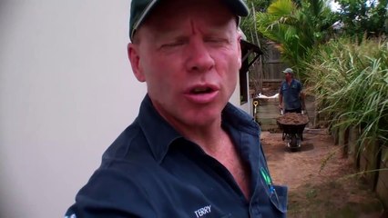 Sunshine Coast Lawn Weed Problems and How To Fix