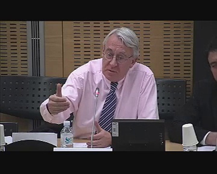 Audition de Mme Malika Sorel, auteure du livre le Puzzle de l'intégration  - Mercredi 9 Février 2011