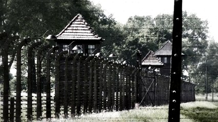 Auschwitz- Our History Is Our Legacy.