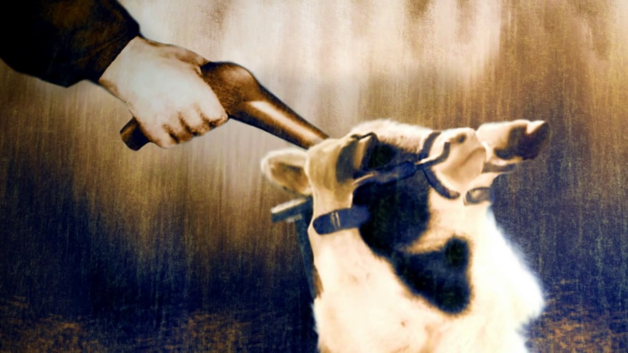 "Chair Amie" - Clip VEGAN (FR) - english subtitles