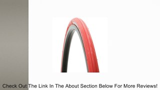Vittoria Zaffiro Pro Home Trainer Fold Tire Review
