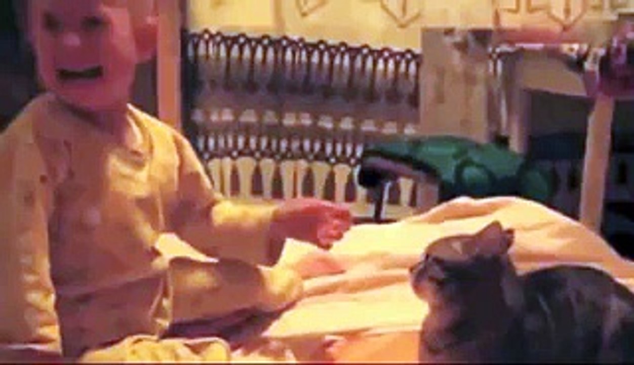 Funny Cats vs Kids Videos - Cute Cat Compilation - Best Fail Kitten Compilation Videos - Video Dailymotion