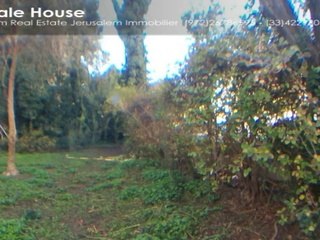 1119 An oasis in Rehavia, Jerusalem Real Estate