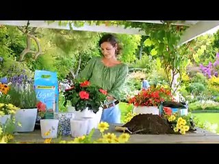 Algoflash (Compo France) - produits de jardinage, "Terreau Universel Léger" - avril 2013