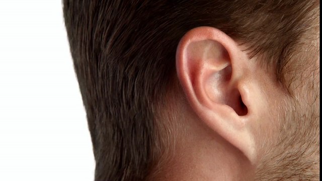 Apple - téléphone mobile iPhone 5, Physics, Thumb, Cheese, Ears - septembre 2012 - ears